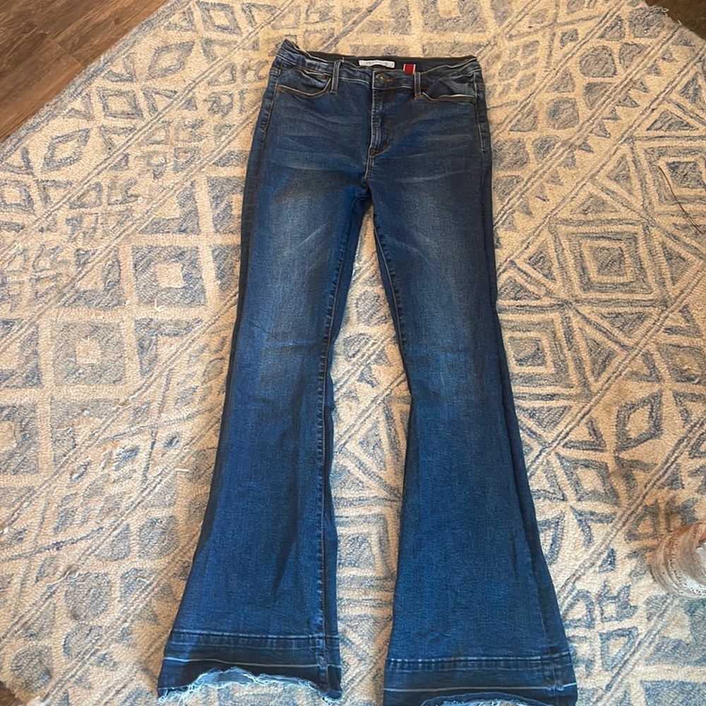 Stetson High Rise Jeans Size 10/34